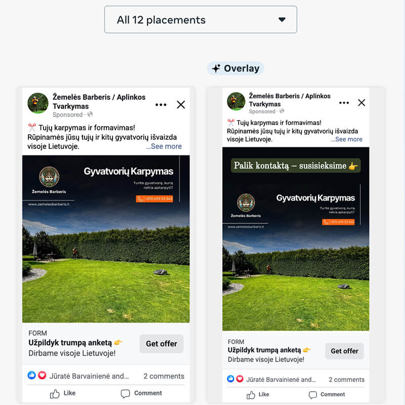 Meta reklama konfigūravimas tujos